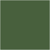 Цвет 137A - Moderate Olive Green, по цветовой шкале RHS