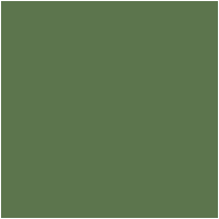 Цвет 137C - Moderate Yellow Green, по цветовой шкале RHS