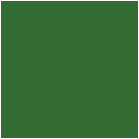 Цвет 141B - Deep Yellowish Green, по цветовой шкале RHS