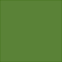 Цвет 143A - Strong Yellow Green, по цветовой шкале RHS
