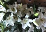 IMG_20160624_175757