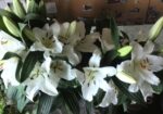IMG_20160624_175809
