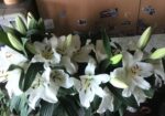 IMG_20160624_175913