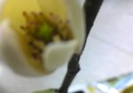 IMG_20160705_160909