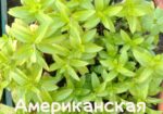 img-20240606-wa0014