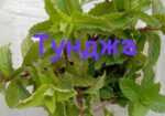 img-20240606-wa0042