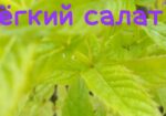 img-20240606-wa0043
