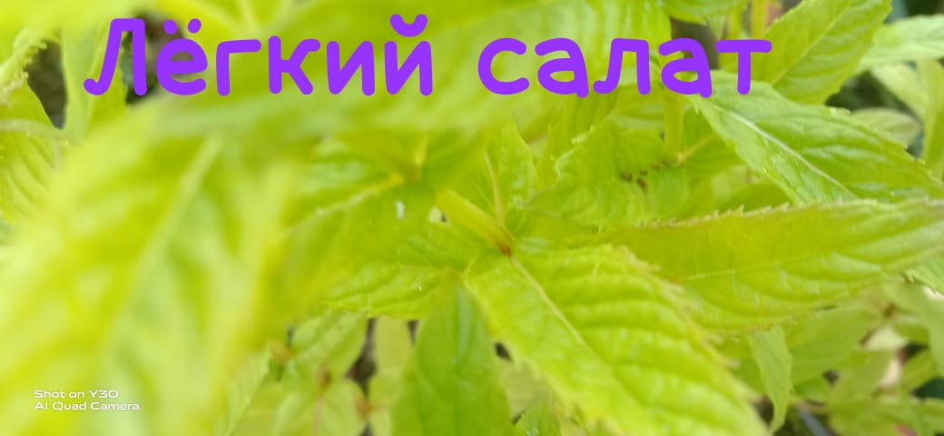 img-20240606-wa0043