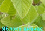 img-20240606-wa0055