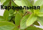 img-20240606-wa0058