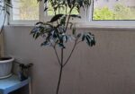 img_20240614_105243
