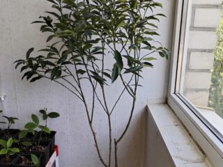 img_20240614_105343