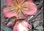 img-20250511-wa1009