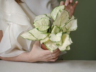 img_8446