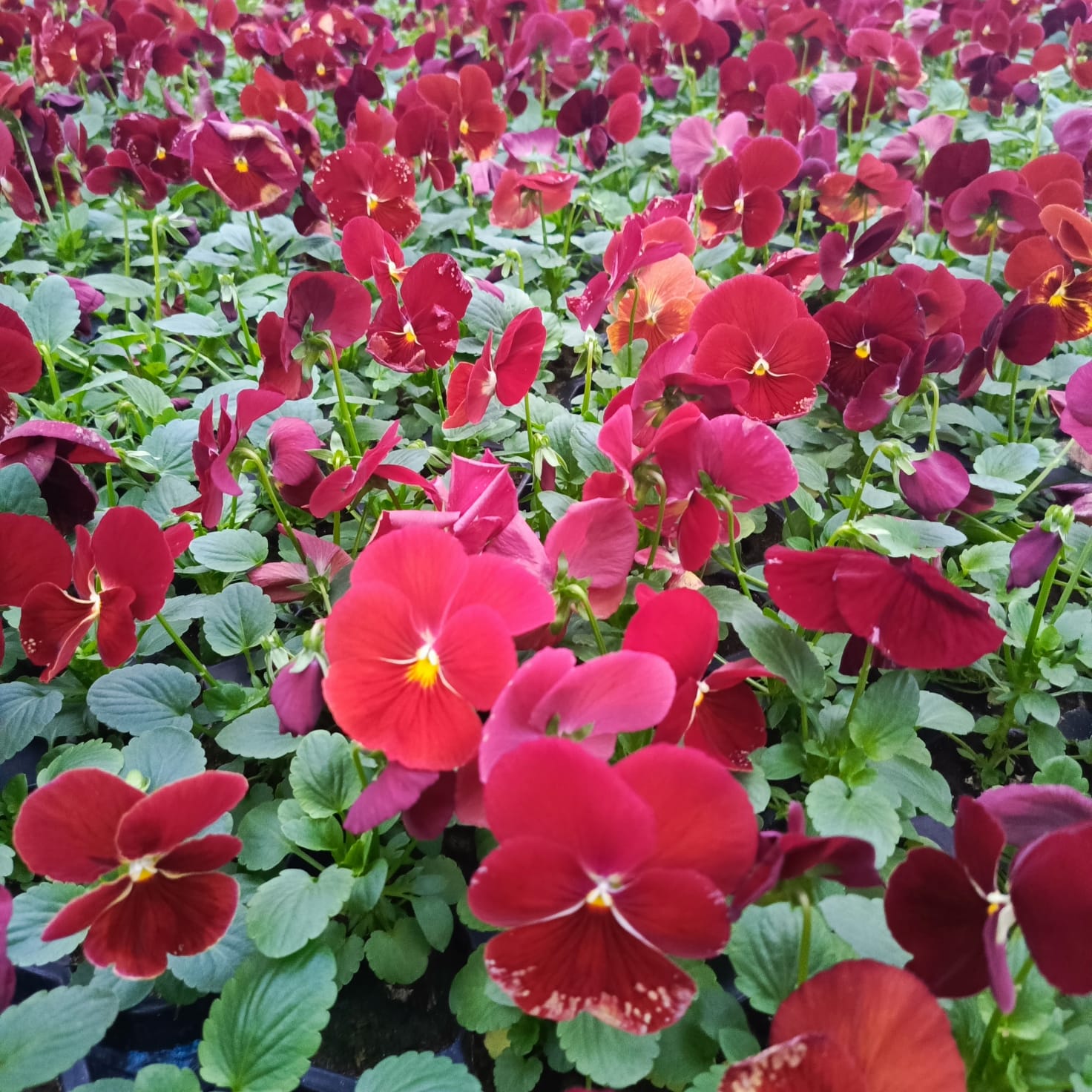 img-20251113-wa0000
