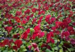 img-20251113-wa0001